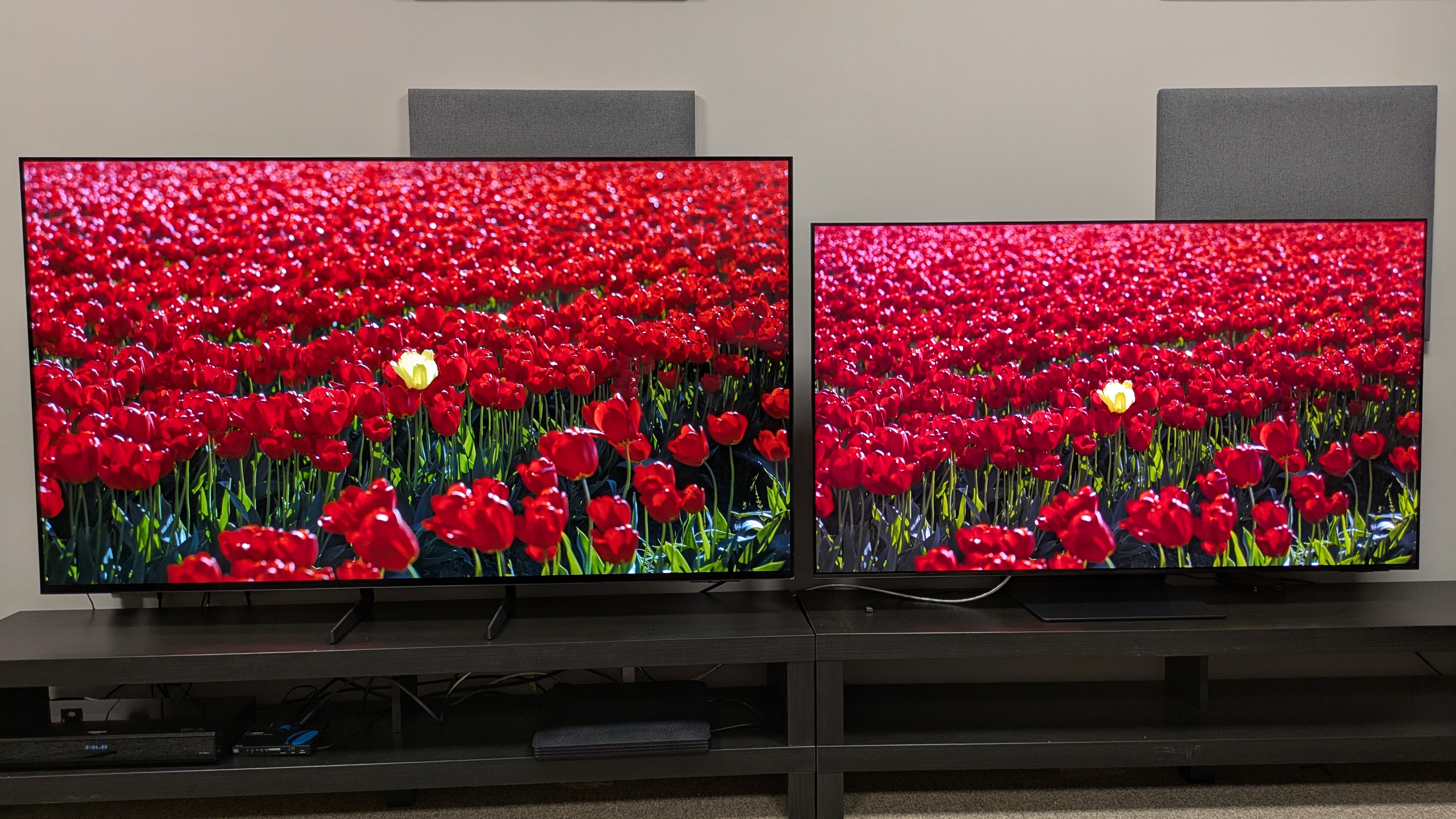Samsung S85F (left) vs Samsung S95F (right) showing red flowers on screen