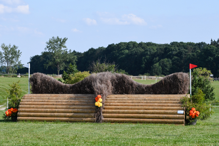 Fence 2