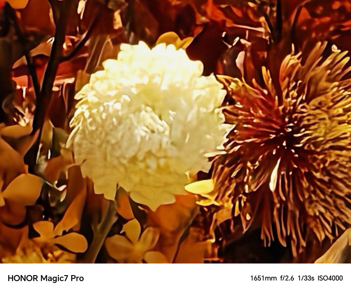A photo captured on a Chinese Honor Magic 7 Pro