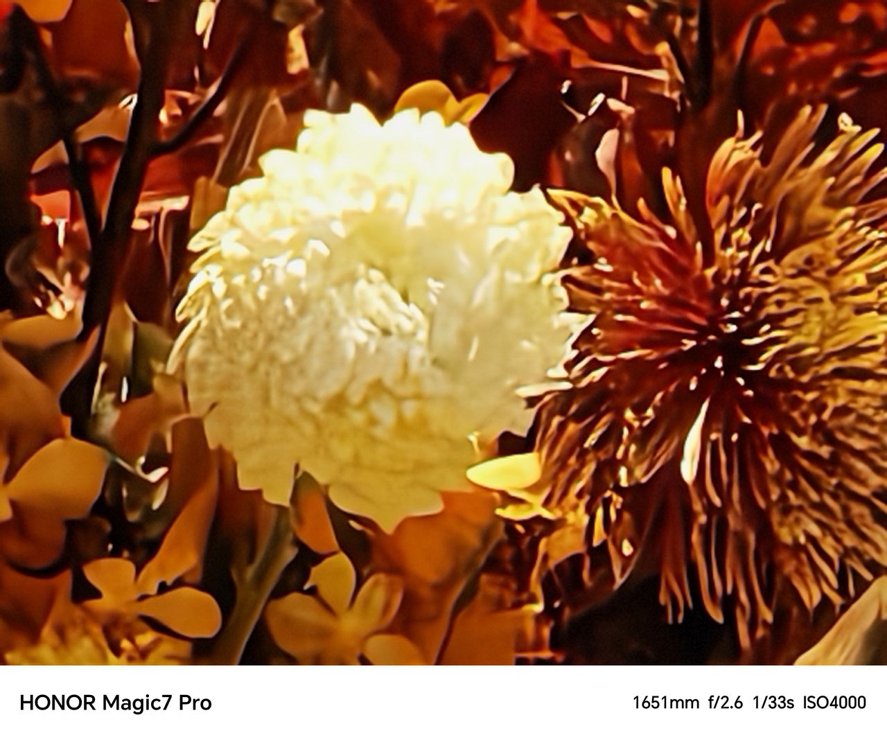 A photo captured on a Chinese Honor Magic 7 Pro
