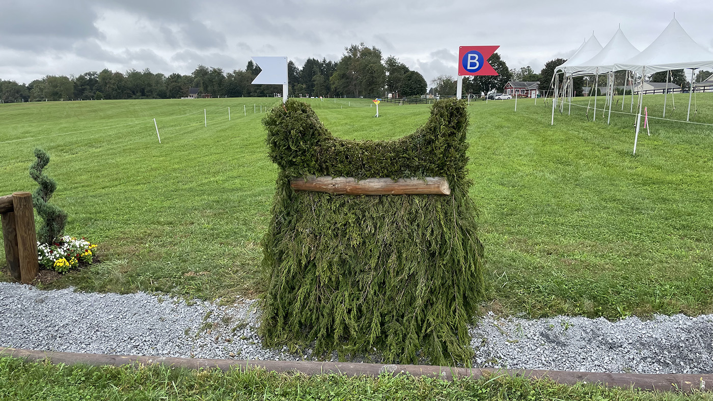 Fence4b