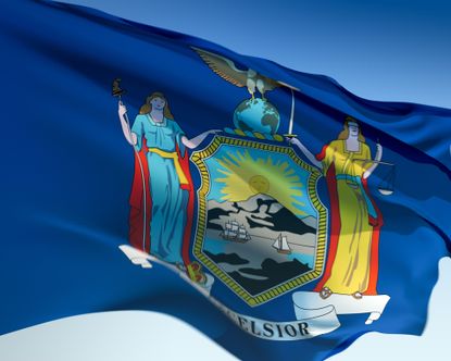 flag of the state of New York
