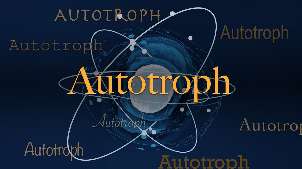 Autotrofy: organizmy, które same produkują sobie pożywienie