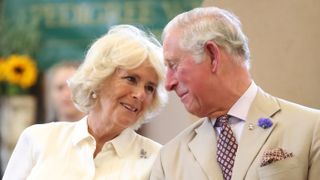 Camilla alone - King Charles and Queen Consort Camilla