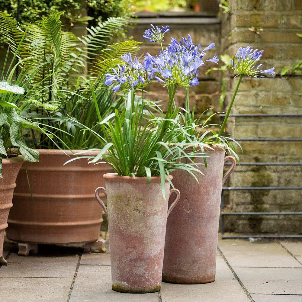 Terracotta Agapanthus Pot - Small