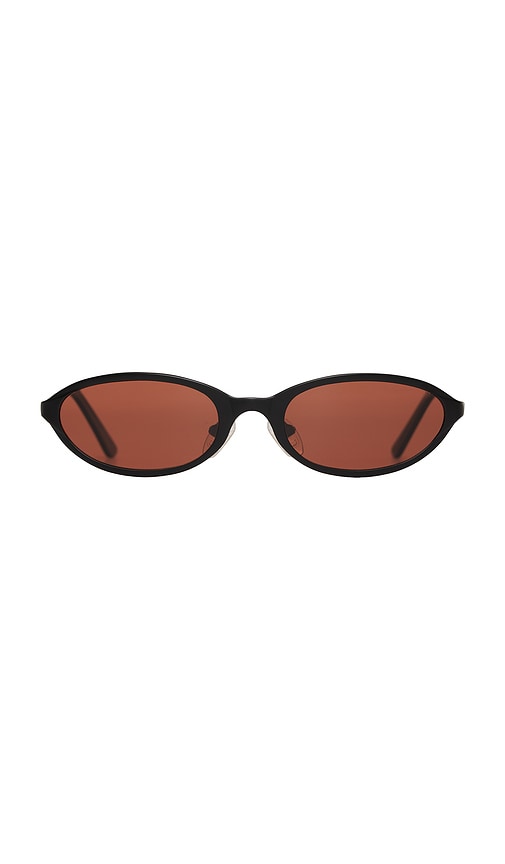 Poly Sunglasses
