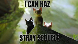 Stray meme showing three cats standing over a ledge with the text overlay "I can haz Stray sequel?"