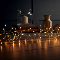 Gold Copper Cluster Lights | was £30 now £22.50 at Homebase