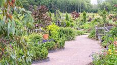 Cottage garden with undulating borders and metal edging, with borders with of planting in summer