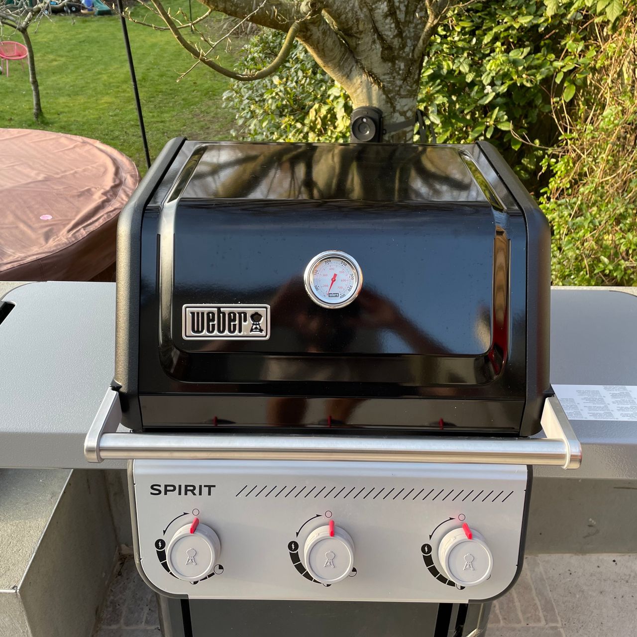 weber spirit e310 gas bbq in garden