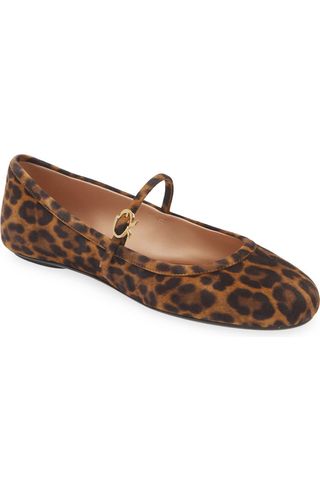 Carla Leopard Print Ballet Flat