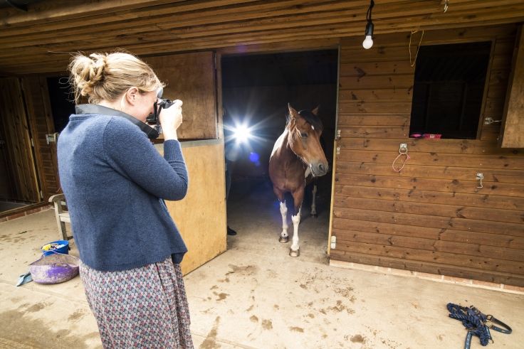 horse photography