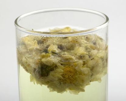 Chrysanthemum Flowers In A Glass Of Water