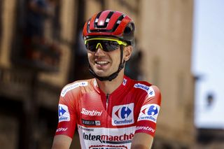 Vuelta Espana 2021 - 76th Edition - 4th stage El Burgo de Osma - Molina de Aragon 163,9 km - 17/08/2021 - Rein Taaramae (EST - Intermarche' - Wanty - Gobert Materiaux) - photo Luis Angel Gomez/BettiniPhotoÂ©2021