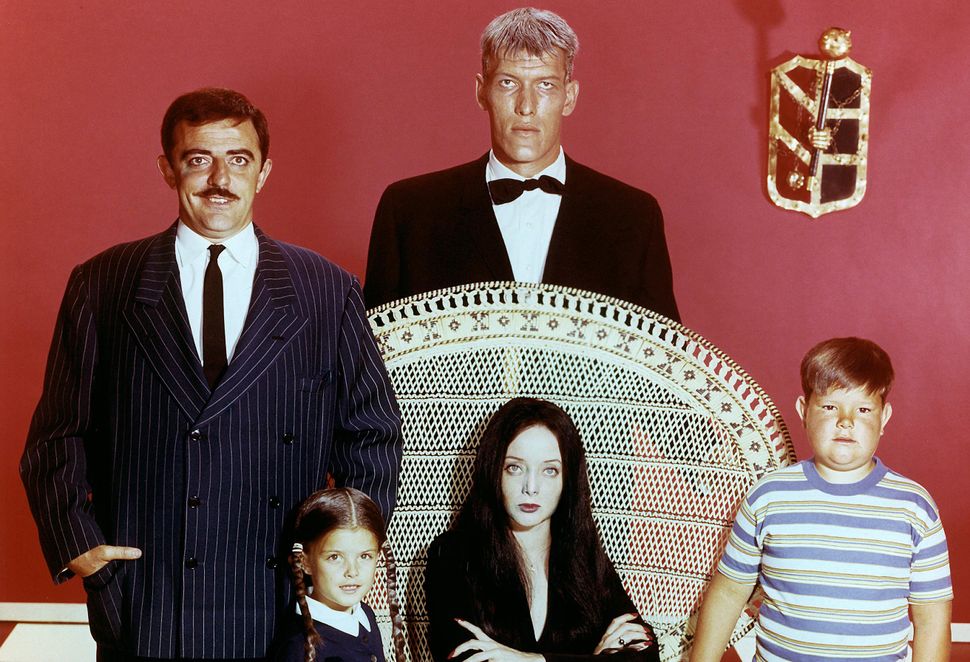 Wednesday Netflix release date, cast, plot, Addams family What to Watch