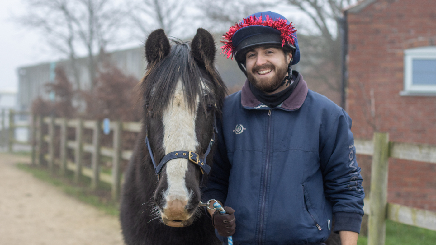 Bransby-Horses.jpg