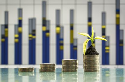 Tree growing on stacks of coins on nature background