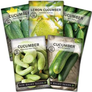 Sow Right Seeds - Cucumber Seed Collection for Planting - Pale Armenian, Pickling, Lemon, Beit Alpha, Marketmore Variety Pack - Non-Gmo Heirloom Packets - Plant and Grow a Home Vegetable Garden