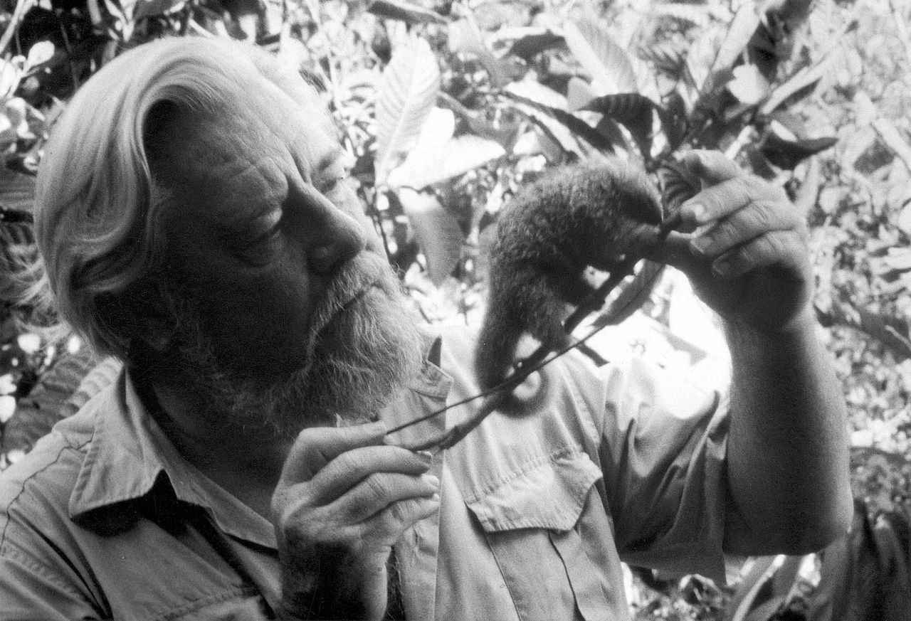 Gerald Durrell with one of his beloved animals.