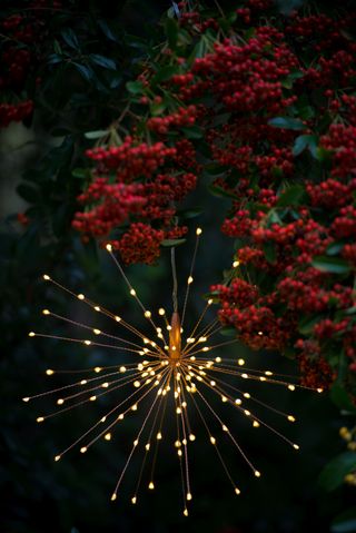 Starry backyard lighting look enhance florals