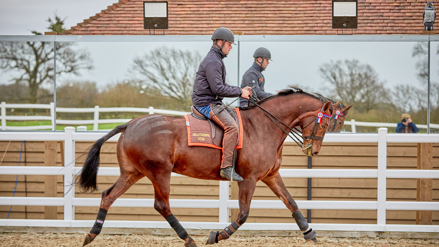 Kellythorpe_Stud_Leesha_Leeman_2Q8A0236.jpg