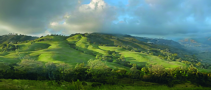 Concept art showing a landscape scene with green hills and trees