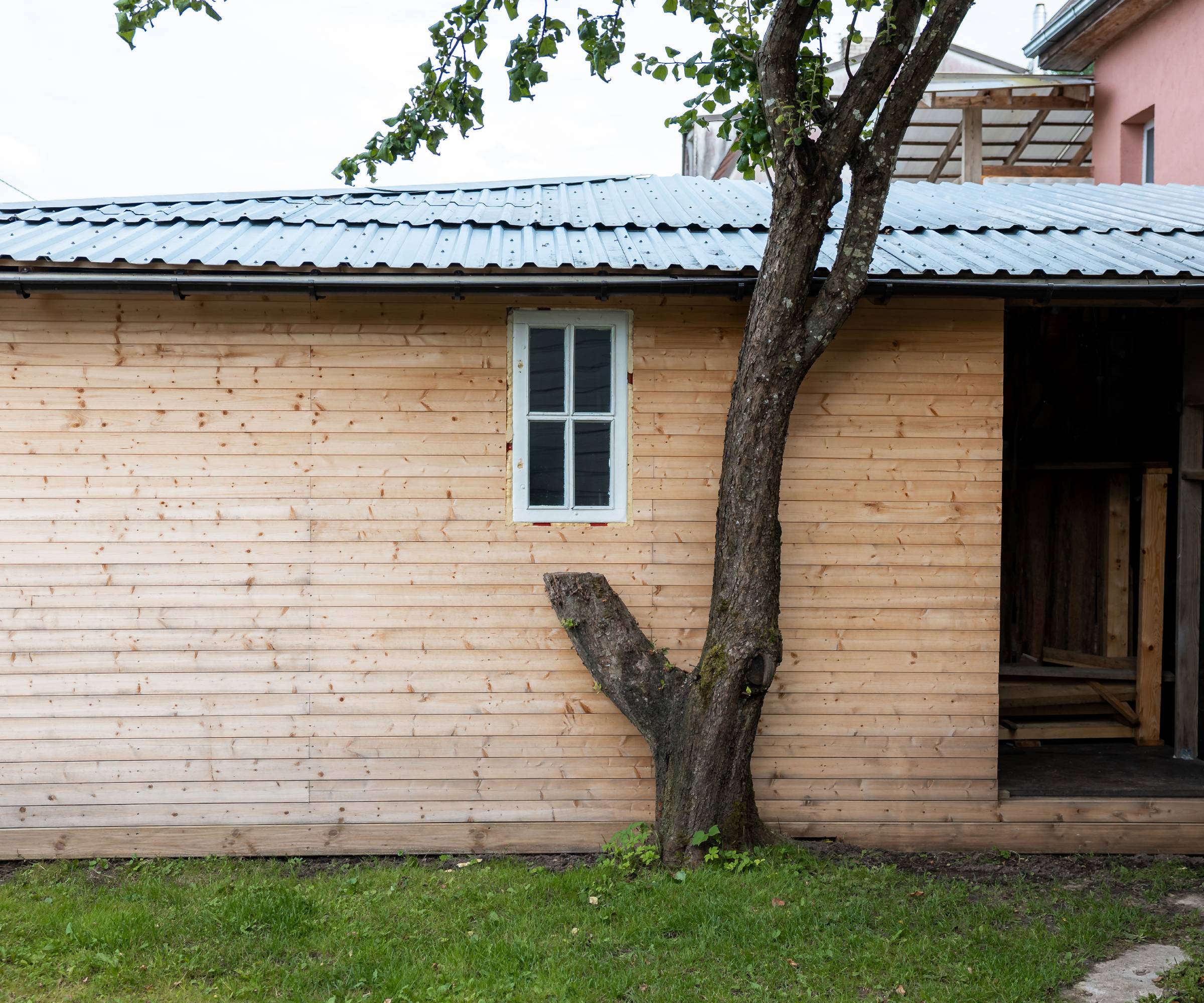 A tree right next to a building, with a branch cut to make room for a window