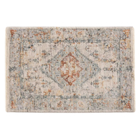 3. Amber Lewis for Anthropologie Revery Rug | Was $248 Now $173.60 (save $74.40 at Anthropologie)