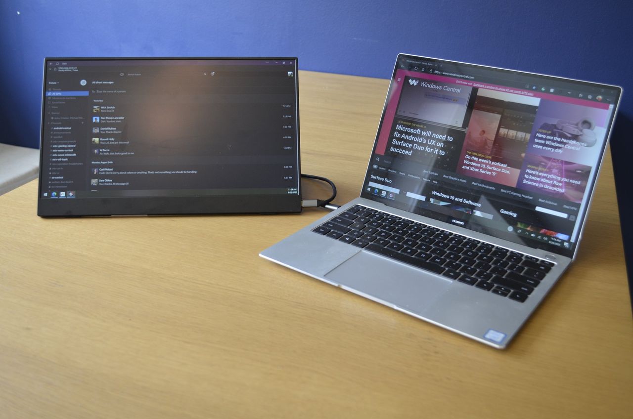 Vissles Monitor With Cable