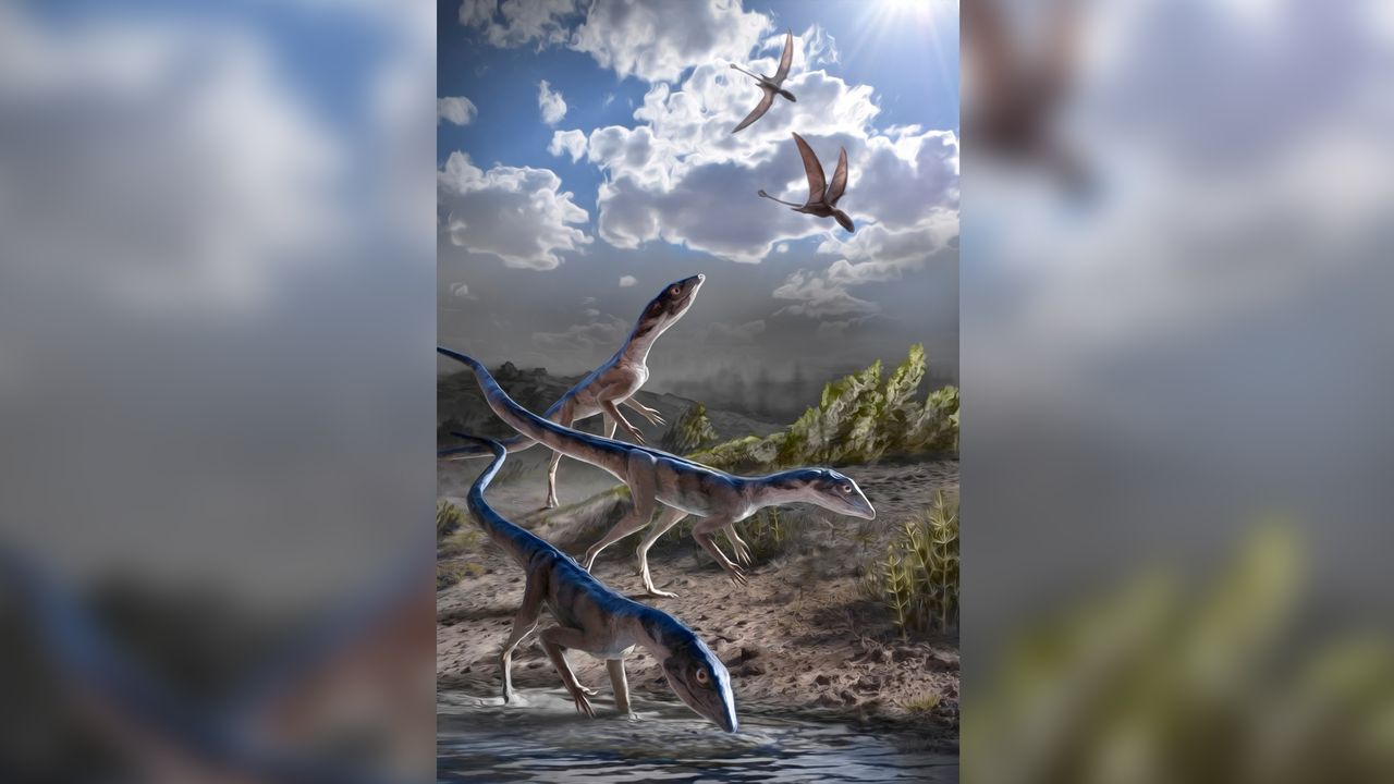 About 212 million years ago, in what is now Ghost Ranch, New Mexico, a species of lagerpetids known as Dromomeron romeri grabbed a drink while several pterosaurs fly overhead.