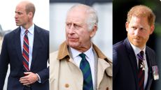 A composite image showing, L-R, Prince William, King Charles and Prince Harry