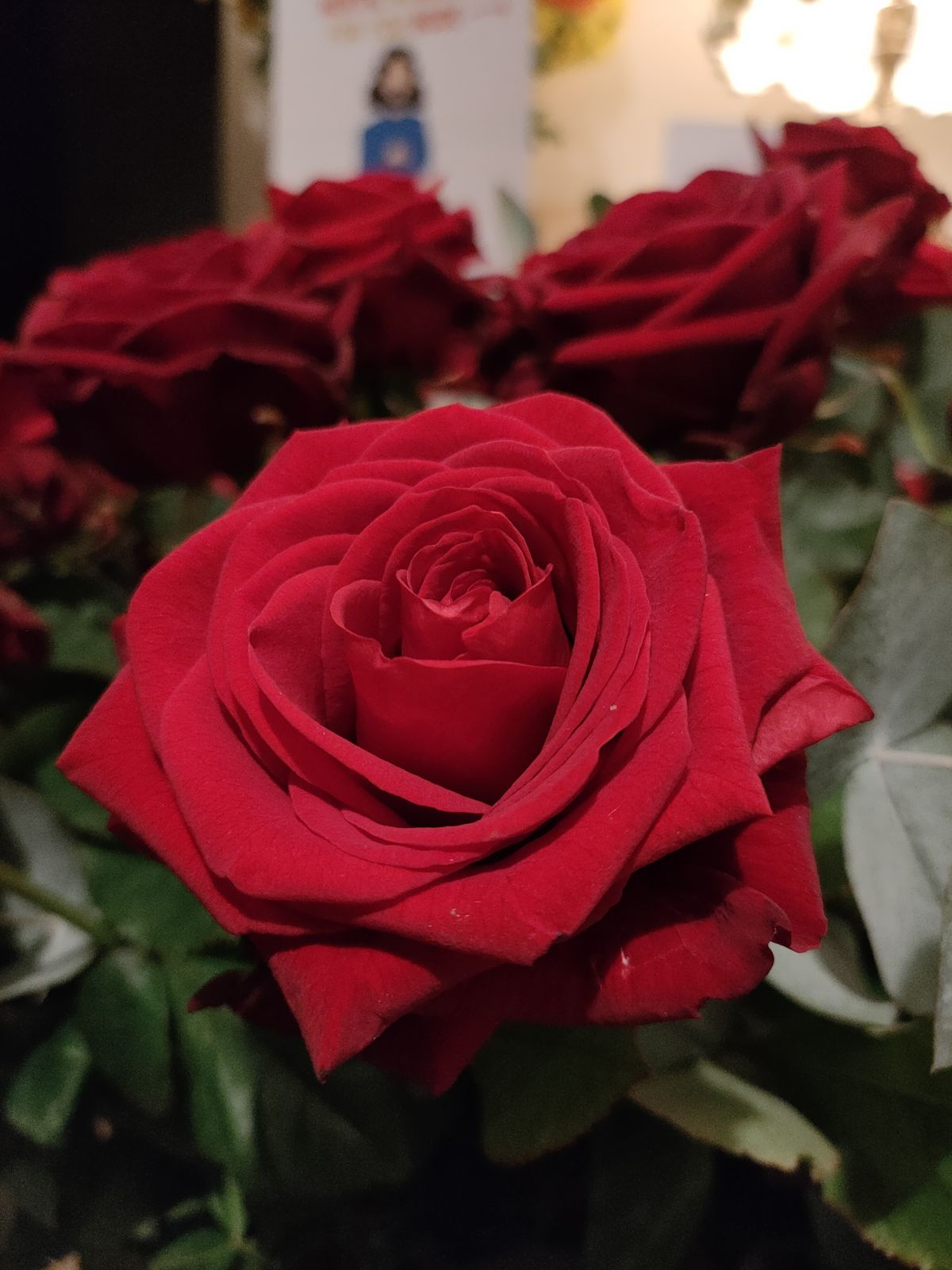 Oppo Reno 4 5G camera sample