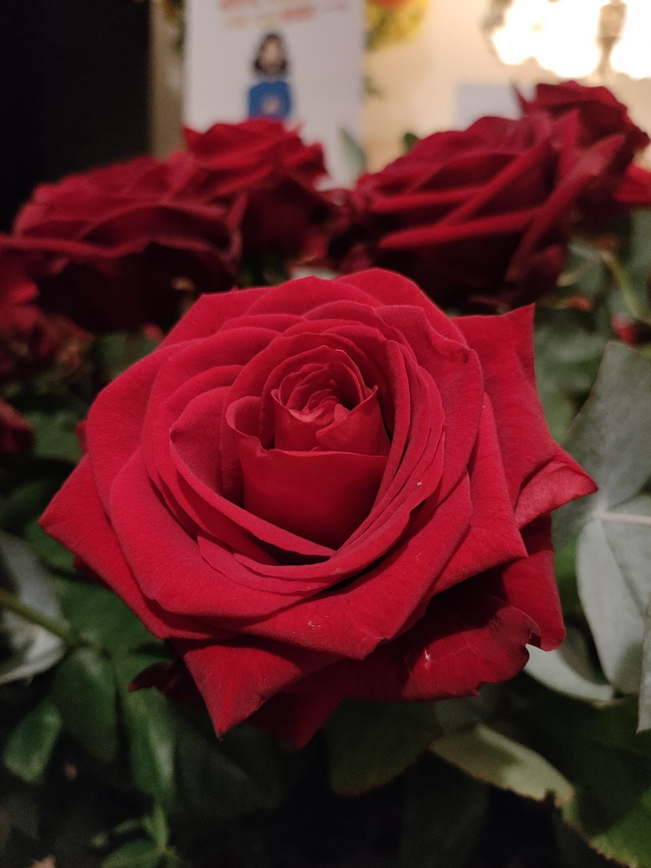 Oppo Reno 4 5G camera sample