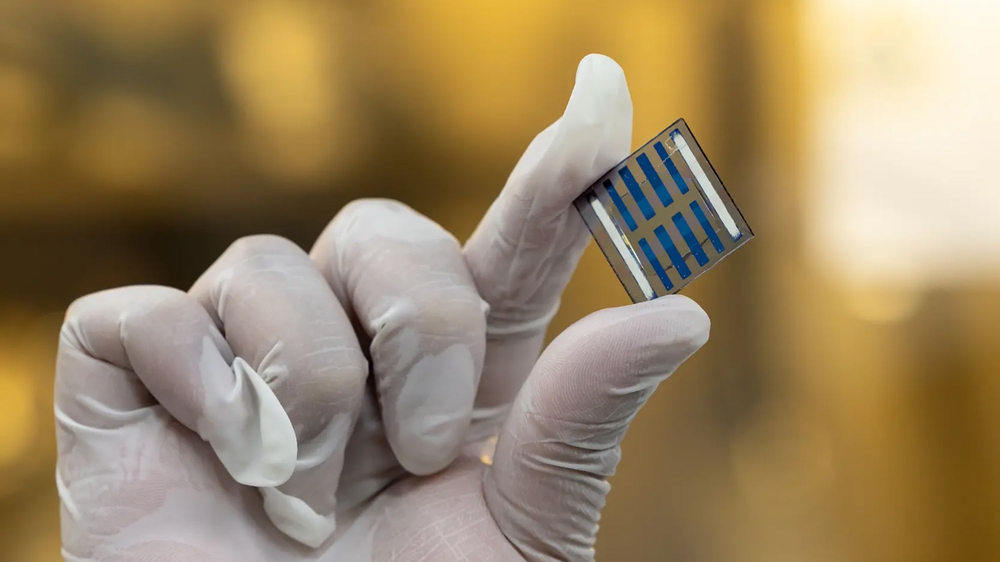 https://cdn.mos.cms.futurecdn.net/LwnPG7evVwdnpnkJn6GFR9-2000-80.jpg
