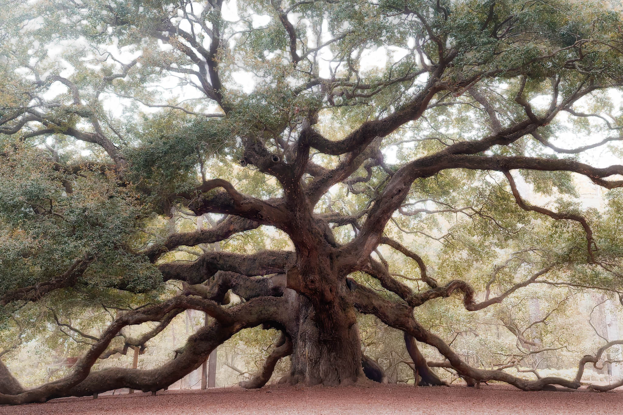 GuruShots - Nature&rsquo;s Masterpiece 2026