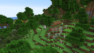 Best Minecraft Seeds flower forest