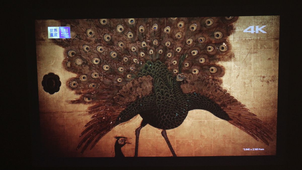 Projector sample image