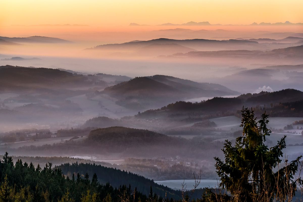Petr Moravec - Czechia