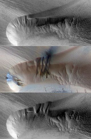 Three black and white and false-color images of the same location taken at different times on Mars show seasonal activity causing sand avalanches and ripple changes on a martian dune.
