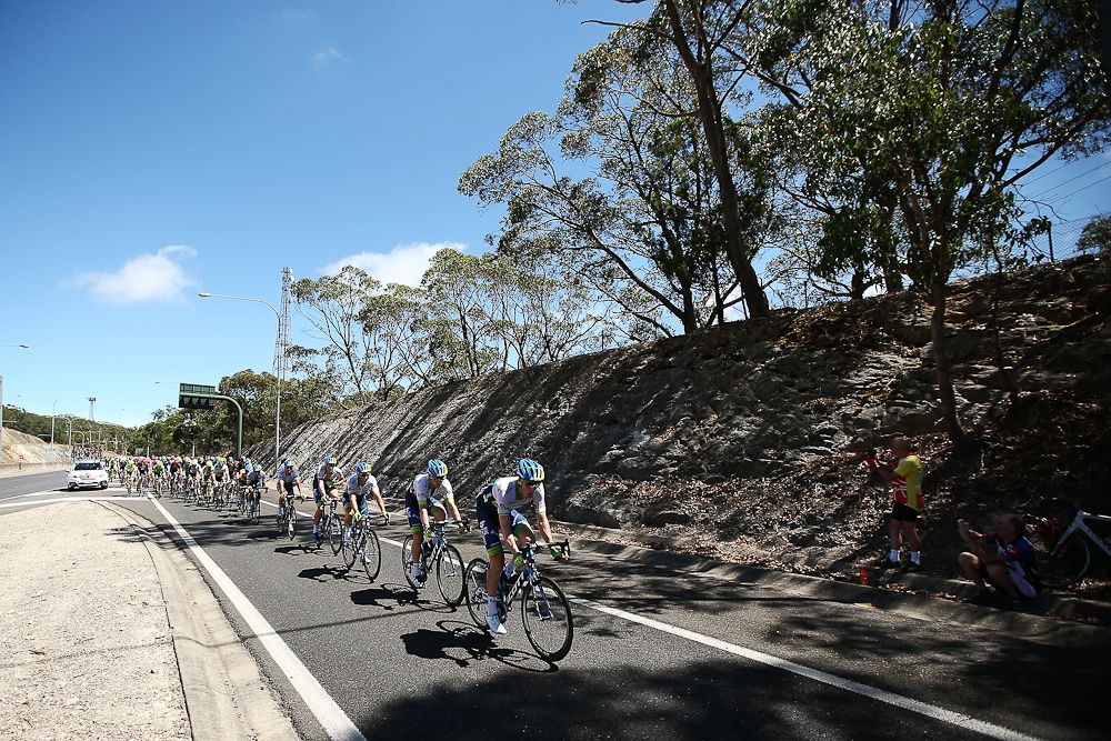 The peloton in action during stage 2 of the Tour Down Under.