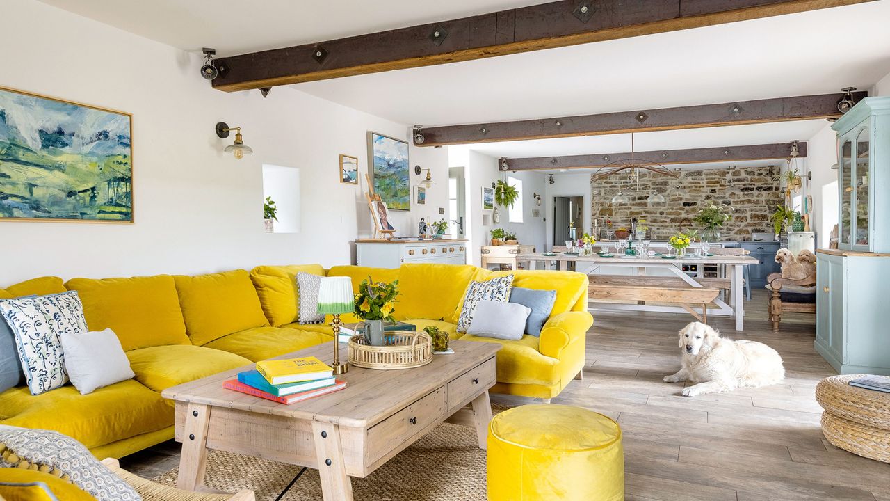 zone an open-plan space open plan living and dining room with yellow velvet l-shaped sofa, armchair and foot stool with wooden coffee table in centre. Wooden floor and dog