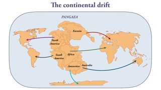 Blue and orange schematic shows arrows depicting how continents separated into Pangaea.