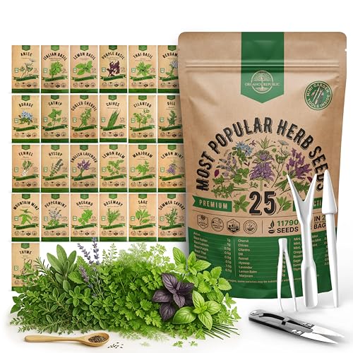 25 Most Popular Herb Seeds Variety Pack - 11,700 Non-Gmo Heirloom Seeds for Planting Herbs in Individual Seed Packets for Hydroponic, Indoor &amp;amp; Outdoor Gardening
