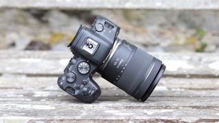 best low-light cameras: Canon EOS R6
