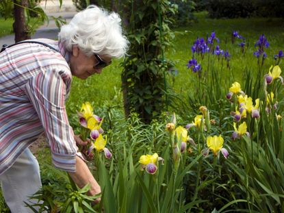Visually Impaired Elder In The Garden