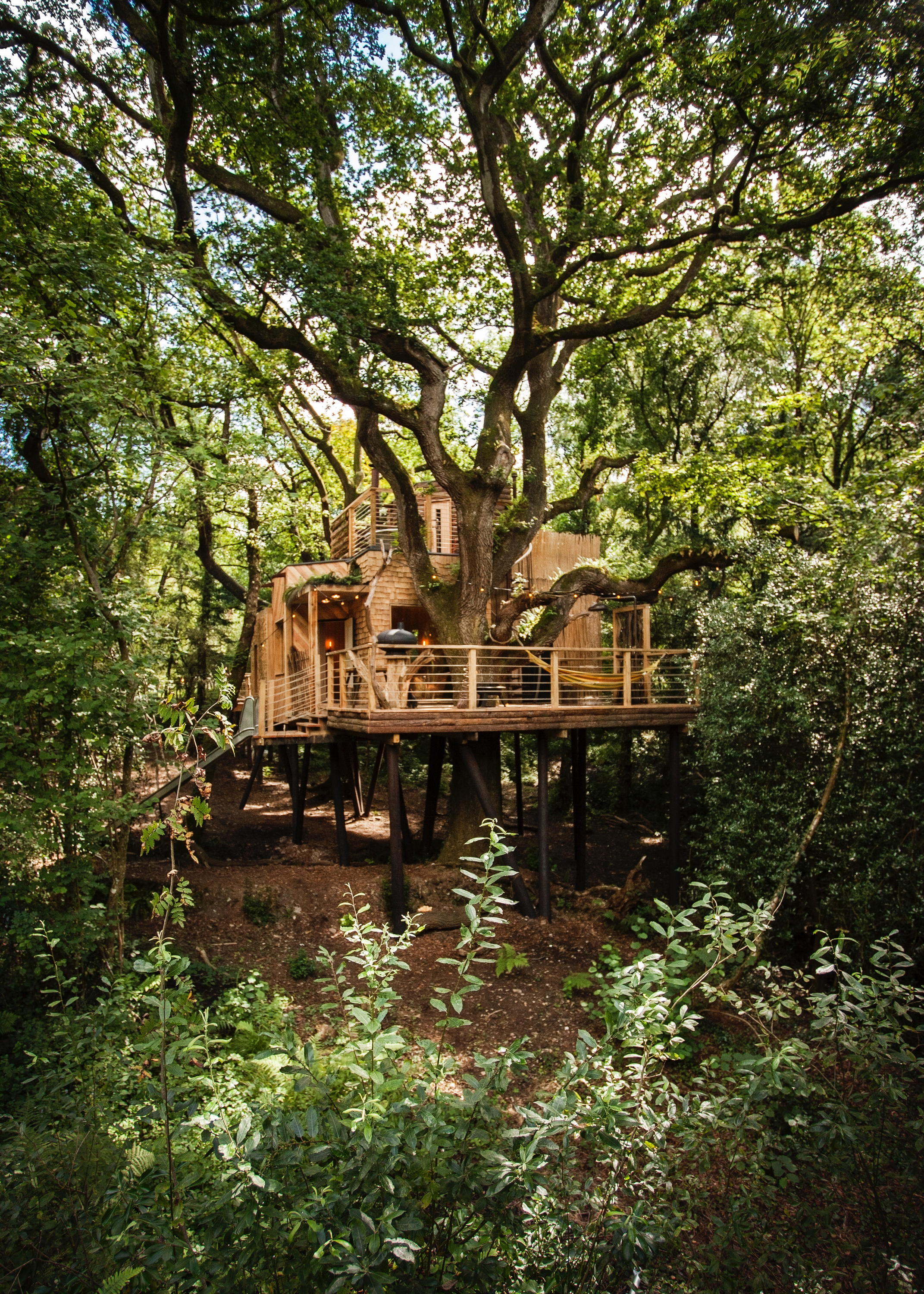 The Woodsman's Treehouse at Mallinson's Woodland Retreat