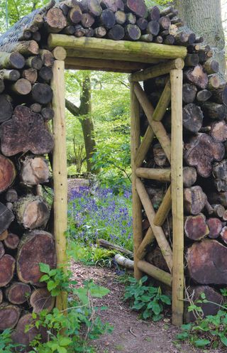 arch into bluebell garden
