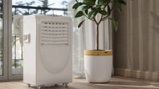 Portable air conditioner next to window, next to a potted plant