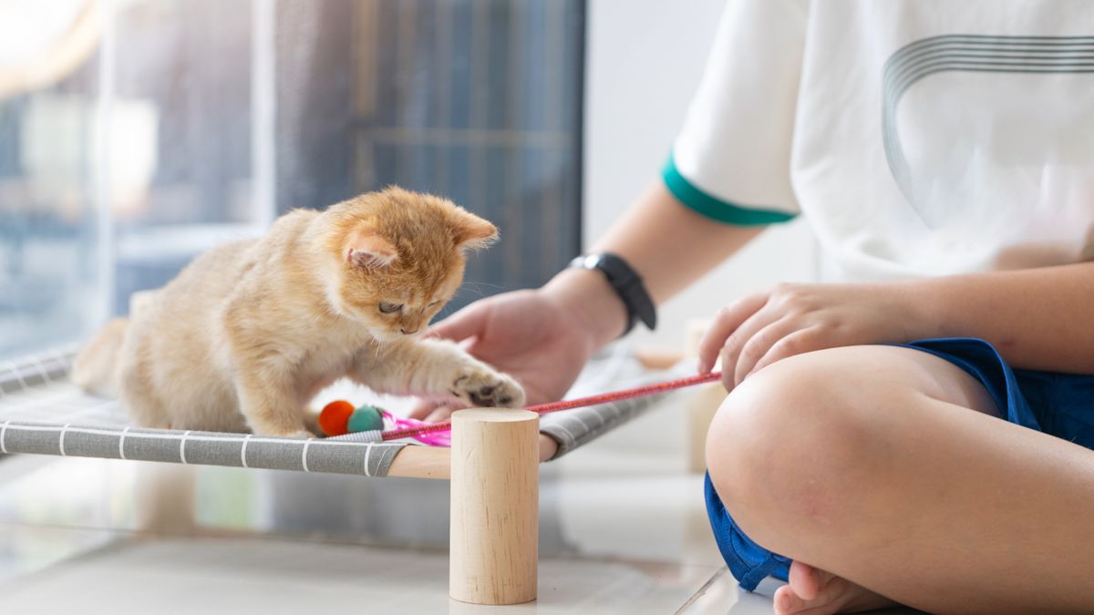 32 ways having a pet changes your life (and we know it!) | PetsRadar