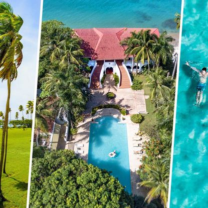 Tree, Tourism, Azure, Vacation, Adaptation, Leisure, Travel, Summer, Landscape, Real estate, 